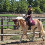 Montaine Mounet Instagram - Ma thérapie 🤍 #picoftheday #love #horse #horses #haflinger #haflingerhorse #haflingersofinstagram #equestrian #equestrainlife #dressage #dressagehorse