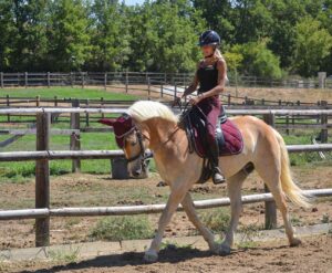 Montaine Mounet Instagram - Ma thérapie 🤍 

#picoftheday #love #horse #horses #haflinger #haflingerhorse #haflingersofinstagram #equestrian #equestrainlife #dressage #dressagehorse