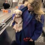 Morfydd Clark Instagram - Safety first 💝 @hemlockesprings