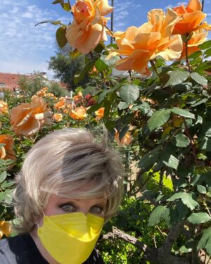 Morgan Fairchild Instagram - #OnMyWalk I found these gorgeous, giant apricot #Roses at Bing Crosby’s old house! I think they’re Just Joeys. Mountains of them! #BeKind #ReachOut #SpringIsHere #YouAreTheAnswer Sending Love To You All🧡🎉💛🌷🧡🦋💛🪻🧡🎉💛🌷🧡🦋💛🪻🧡🎉💛🌷🧡🦋💛🪻🧡🎉💛🌷🧡🦋💛