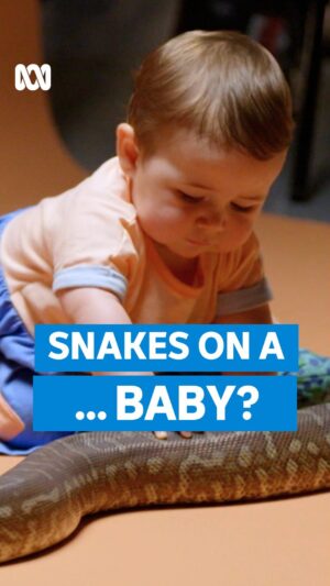 Myf Warhurst Instagram - “We start out like this… touching it on the face!” 🐍 

Secret Science with @myfwarhurst – Stream now on ABC iview.

#SecretScience #Fear #Psychology
