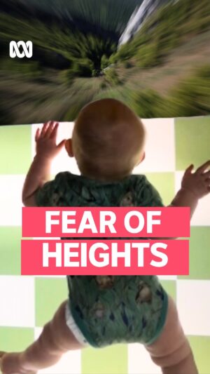 Myf Warhurst Instagram - If you put a baby near a cliff, would it crawl off?

Secret Science with @myfwarhurst – Stream now on ABC iview.

#SecretScience #Fear #Psychology