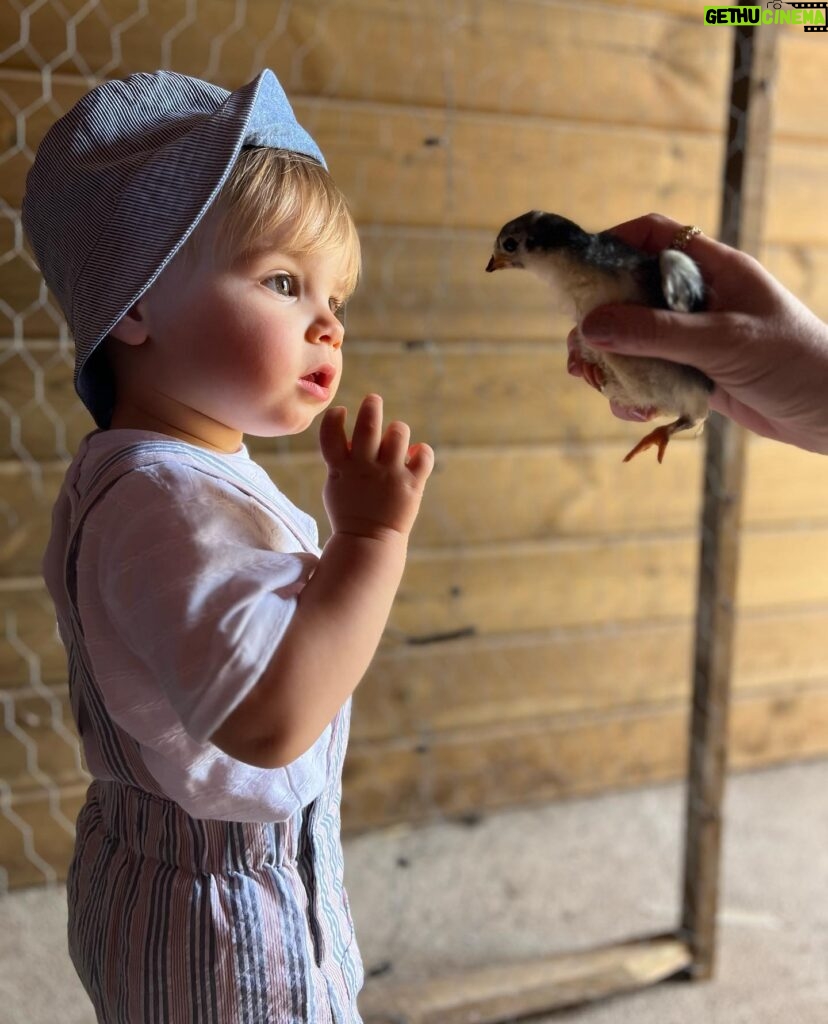 Núria Madruga Instagram - Momentos bonitos do nosso fim de semana. 🤍 #farmlife @craveiral