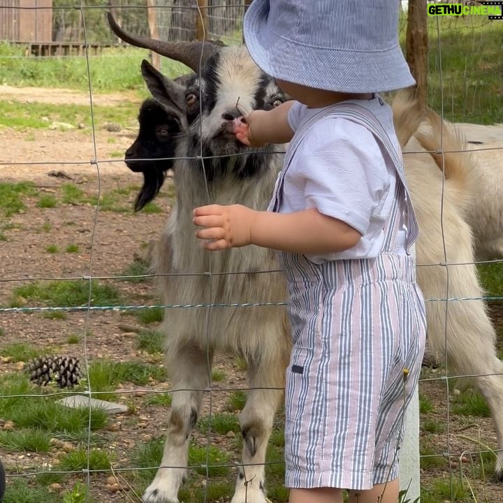 Núria Madruga Instagram - Momentos bonitos do nosso fim de semana. 🤍 #farmlife @craveiral