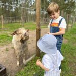 Núria Madruga Instagram - Momentos bonitos do nosso fim de semana. 🤍 #farmlife @craveiral
