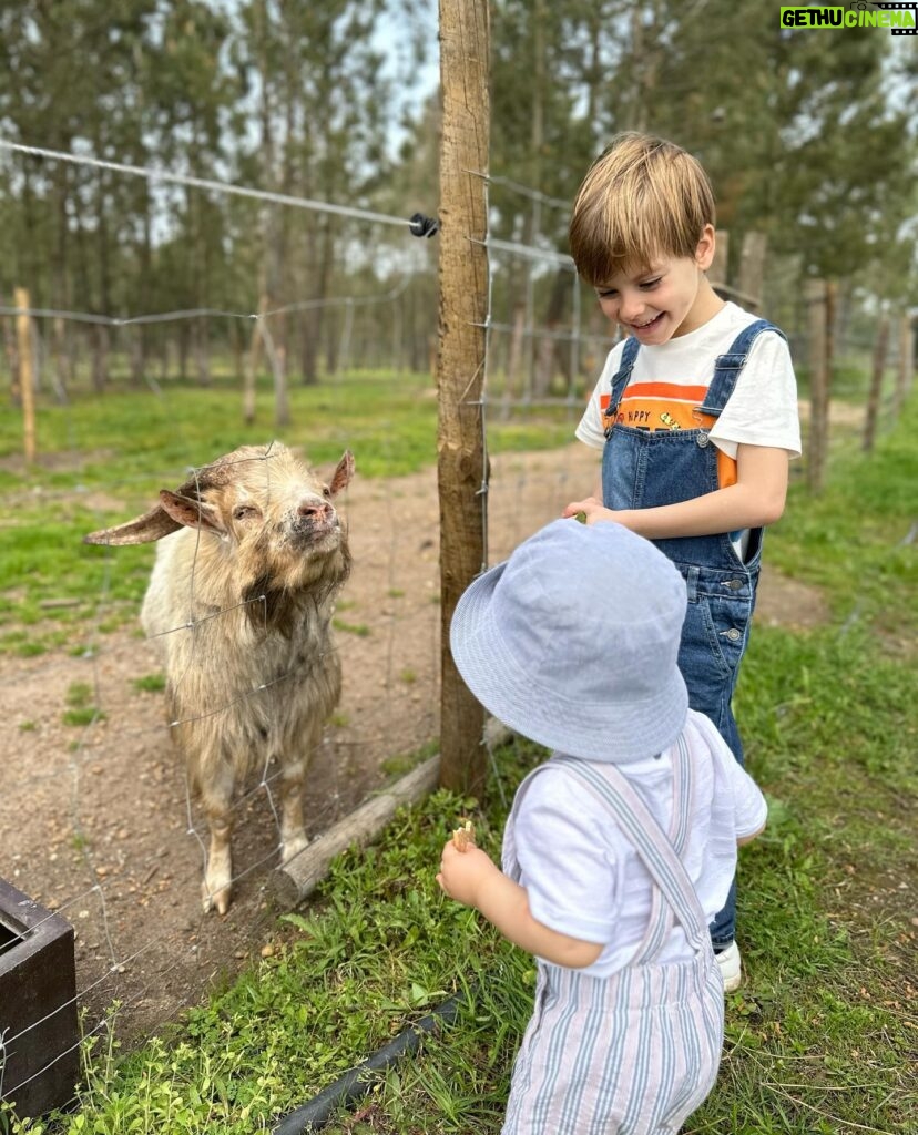 Núria Madruga Instagram - Momentos bonitos do nosso fim de semana. 🤍 #farmlife @craveiral