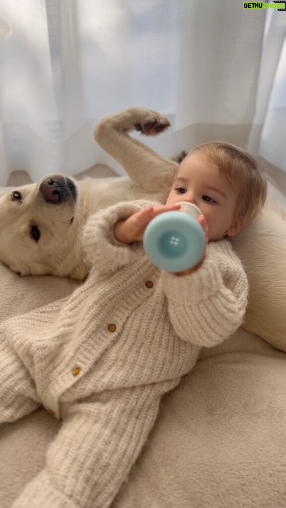 Núria Madruga Instagram - Bom dia! 🤍 #babyanddog #babyboy #labrador