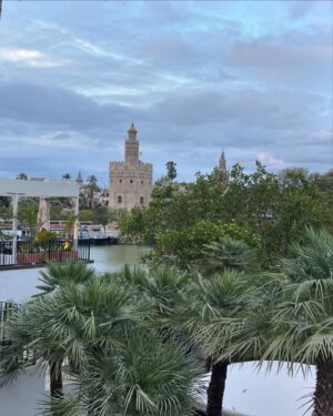 Núria Marín Instagram - 24 horas en Sevilla en 7 puntos:
1- Con @nandoescribano reviviendo el espíritu mariposa que es único, irrepetible e inimitable.
2- Postureo ante la Giralda.
3- Mirando un árbol.
4- Torre del Oro.
5- 🪭🪭🪭
6- Firmando “Soy Afrodita” en La Casa del Libro
7- Encuentro inesperado 🤣
@temasdehoy @planetadelibros
