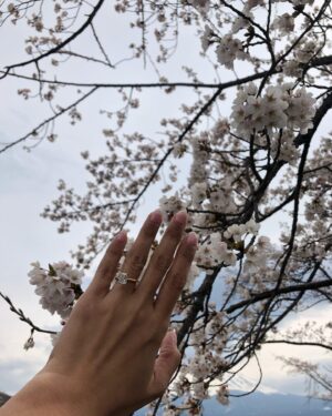 Nadia Saphira Instagram - 🇯🇵 April 2023, 2020 and 2019 🌸🌸🌸🌸