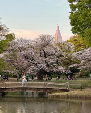 Nadia Saphira Instagram - Hanami 2023 🤍