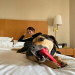 Naiara Awada Instagram - My life be like Hotel room con cu y mami @sheratonbuenosaires gracias por siempre recibirnos y gracias @royalcaninar por los regalos para cu!