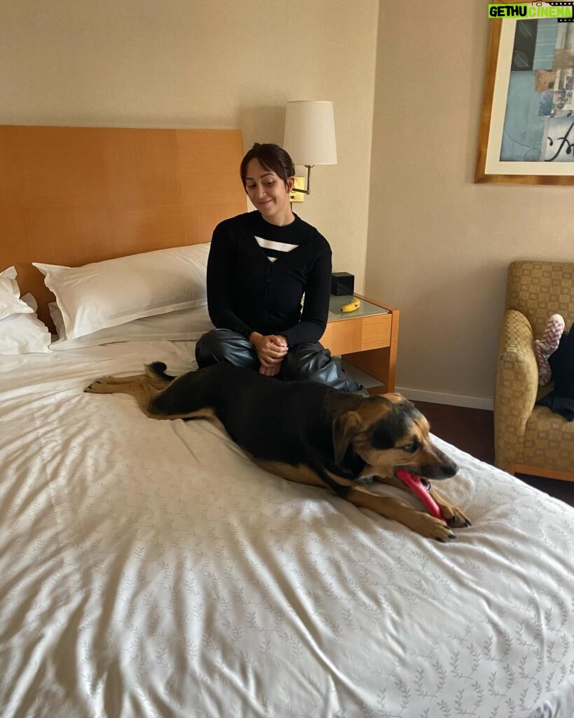 Naiara Awada Instagram - My life be like Hotel room con cu y mami @sheratonbuenosaires gracias por siempre recibirnos y gracias @royalcaninar por los regalos para cu!