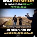 Naike Rivelli Instagram - Famiglie che hanno risai italiani da centinaia di anni che coltivano la terra, spazzati via da campi di fotovoltaici? Che peccato divino. A tutti gli ambientalisti dico che i fotovoltaici non si smaltiscono facilmente negli anni. A lungo andare Inquinano. Da dove prenderemo noi il nostro riso italiano? Sintetico dalle multinazionali o dall’estero? 🤦🏻‍♀️🙈👎🏼💔 #naikerivelli @ornellamuti @il_gigante_buono14 @angelocioccaofficial @codacons_official #scioperoagricoltori