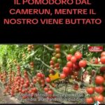 Naike Rivelli Instagram - Racconti che ti fanno spezzare il cuore. #naikerivelli #agricoltori #sosteniamo #madeinitaly #cibosano #bio #chilometrozero #ortaggi #italia #tristezza #tuttiuniti @ornellamuti @il_gigante_buono14 @codacons_official