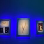 Nam Gyu-ri Instagram - Vancleefarpels🍀 🦚🪺🐓🦜🦅🐦‍🔥🐧🦢 in March