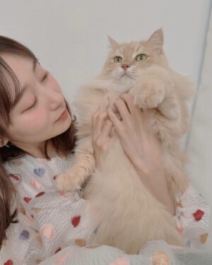 Nanami Yamashita Instagram - ⁡
⁡
新年明けましておめでとうございます𓃠♡
どんな年末年始をお過ごしですか🥰？
私は大好きな蟹を久しぶりに食べられて感動！な
大晦日でした🦀✨
⁡
少し振り返りになるのですが、
2023年は雨降って地固まる一年でした。。！
ようやくひとつ軸が強くなり、内側は一段階だけ深く濃くなれたのではないかと思っております。
それは応援してくださる皆様や関係者の方々に日々支えていただいたおかげで、どんな事もエネルギーに変えられたからです！❤️‍🔥
笑顔で一年終えられました😊
本当にありがとうございます📯⭐︎
2023年得た人生経験を役立てられるようまた頑張っていきます♪
⁡
今年も山あり谷ありだろう毎日を進み、皆様と実りある一年を過ごしていきます！
2024年もよろしくお願いいたします❣️
⁡
いつもありがとう~~~❤️🩷🩵💛を込めて！
山下七海