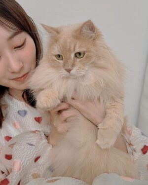 Nanami Yamashita Instagram - ⁡
⁡
新年明けましておめでとうございます𓃠♡
どんな年末年始をお過ごしですか🥰？
私は大好きな蟹を久しぶりに食べられて感動！な
大晦日でした🦀✨
⁡
少し振り返りになるのですが、
2023年は雨降って地固まる一年でした。。！
ようやくひとつ軸が強くなり、内側は一段階だけ深く濃くなれたのではないかと思っております。
それは応援してくださる皆様や関係者の方々に日々支えていただいたおかげで、どんな事もエネルギーに変えられたからです！❤️‍🔥
笑顔で一年終えられました😊
本当にありがとうございます📯⭐︎
2023年得た人生経験を役立てられるようまた頑張っていきます♪
⁡
今年も山あり谷ありだろう毎日を進み、皆様と実りある一年を過ごしていきます！
2024年もよろしくお願いいたします❣️
⁡
いつもありがとう~~~❤️🩷🩵💛を込めて！
山下七海