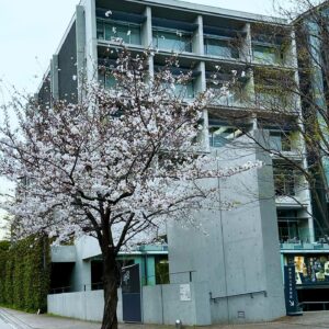 Nanase Aikawa Instagram - 先日、大学院の入学式を終えました🌸ゼミの後輩の子たちが、お祝いもって待っててくれた😂嬉しいです、本当にありがとう。
大学院には、同期の友達が何人か進んでいるので、とても心強いです。
分からないことばかりだけど、頑張っていきたいと思います！😂さぁ、まずは履修登録だ！

#大学院入学式