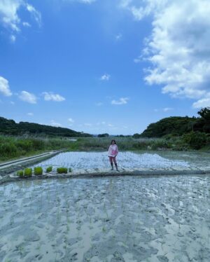 Nanase Aikawa Instagram - 2020年を最後に休止していた、対馬の赤米神田の田植えを4年ぶりに行いました🌾🌾豆酘小、豆酘中の皆さんも来てくれて、とても賑やかな田植えでした。課題はたくさんありますが、まずは種子を守ることを第一に考えて、赤米を育てていくことが大切だと思いました😊
来てくれた皆様、有難う御座いました。
充分にお話し出来なかった方々、申し訳御座いません🙏また秋にお話し出来るのを楽しみにしています❣️🌾🌾

#対馬市
#赤米神事