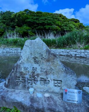Nanase Aikawa Instagram - 2020年を最後に休止していた、対馬の赤米神田の田植えを4年ぶりに行いました🌾🌾豆酘小、豆酘中の皆さんも来てくれて、とても賑やかな田植えでした。課題はたくさんありますが、まずは種子を守ることを第一に考えて、赤米を育てていくことが大切だと思いました😊
来てくれた皆様、有難う御座いました。
充分にお話し出来なかった方々、申し訳御座いません🙏また秋にお話し出来るのを楽しみにしています❣️🌾🌾

#対馬市
#赤米神事