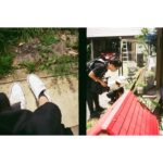 Nao Instagram - . 『可愛かった犬、あんこ』 コンバースと、虫に夢中な井樫彩監督 . 「ミラーライアーフィルムズ・フェスティバル」が 4月22日(土)〜5月14日(日)に開催されるそうです🎬