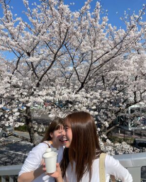 Naomi Lorraine Frank Instagram - .
.
桜めちゃくちゃ綺麗だった🌸🤍
とても眩しかった😎🤍笑

珍しくタイムリー投稿🌸笑
なんならこれ、今日🌸笑

サブちゃんには時間差投稿常習犯バレてるから
半年後あげるんでしょう？と言われた🌸笑

だから珍しく
年に数回あるかないかのタイムリーしてみた🫶🏻笑
.
.
#お花見#桜#🌸#白ティー#おそろチック#さぶきゃわ##身長差ありすぎて#日陰に使う#サブのおてては#身長高くて私まで目の日陰にならなかった#ぽよ