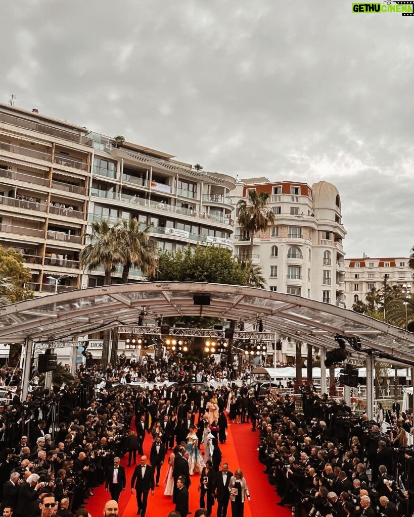Naomi J. Ogawa Instagram - I’m still not over this trip! I had the best time 🤍 Thank you! @condenasttraveller @ihghotels @carltoncannes @itch_media @festivaldecannes And thank you to the dream team.. Stylist- @styledbysrh Hair- @themanestyle Makeup- @emmaobyrne Wearing: Dress @rachelgilbertau Jewellery, @matilde.jewellery Shoes, @magdabutrym Bag, @mae_cassidy A special thank you to… 🤍 @willfarmer1991 @pinnaclepruk