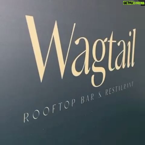 Naomie Harris Instagram - Such a fun evening at the opening of London’s newest, coolest Rooftop bar & restaurant @wagtailldn with the incredible @afuahirsch interviewing me, @nicholasgrimshaw dj’ing; food by head chef #philipKearsey; drinks by mixologist #angelosbafas; and 360 degree views of the city! (Video credit: @yasontheinternet ) wearing @edelinelee & @jimmychoo styled by @_celine_sheridan_ makeup by the one and only, truly amazing @kennethsohmakeup