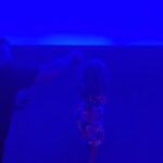 Natália Lage Instagram - boa semana com Maitê escaladora 🩵✨