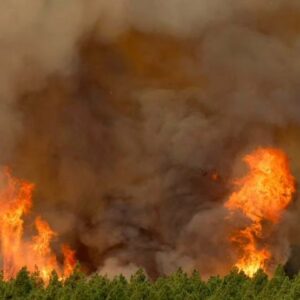 Natalia Ferviú Instagram - Casi 4000 hectáreas quemadas en un perímetro de 41,9 kms. Ocho municipios afectados: unas 7500 personas y a saber cuántos animales... Y subiendo, porque el incendio aún no está controlado. Lo peor es que todo apunta que fue intencionado.
Siento impotencia y mucha rabia al ver mi tierra en llamas. No sé qué probabilidad hay de pillar al responsable, pero ojalá sí y que se haga justicia.
Muchísimas gracias a todas las personas involucradas en las labores de ayuda y rescate, desde bomberos a protectoras de animales. Gracias al resto de isleñxs, que nos están apoyando al máximo. Y a muchas y muchos peninsulares y extranjeros que a pesar de la distancia tienen ahora mismo a Tenerife en su corazón. Ojalá esta pesadilla acabe pronto. Tenerife ¡resiste! ✊🏼

📸 Créditos:
Fotos 1 y 2 de Borja Suárez
Foto 3 de Ramón de la Rocha.