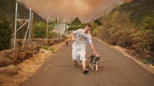 Natalia Ferviú Instagram - Casi 4000 hectáreas quemadas en un perímetro de 41,9 kms. Ocho municipios afectados: unas 7500 personas y a saber cuántos animales... Y subiendo, porque el incendio aún no está controlado. Lo peor es que todo apunta que fue intencionado.
Siento impotencia y mucha rabia al ver mi tierra en llamas. No sé qué probabilidad hay de pillar al responsable, pero ojalá sí y que se haga justicia.
Muchísimas gracias a todas las personas involucradas en las labores de ayuda y rescate, desde bomberos a protectoras de animales. Gracias al resto de isleñxs, que nos están apoyando al máximo. Y a muchas y muchos peninsulares y extranjeros que a pesar de la distancia tienen ahora mismo a Tenerife en su corazón. Ojalá esta pesadilla acabe pronto. Tenerife ¡resiste! ✊🏼

📸 Créditos:
Fotos 1 y 2 de Borja Suárez
Foto 3 de Ramón de la Rocha.