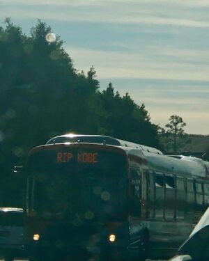 Natalie Desselle-Reid Instagram - The buses in Los Angeles😞still thinking of the lives that were lost that day  Kobe Bryant and daughter Gianna “Gigi” Bryant John Atobelli and his wife Keri and their daughter Alyssa The mother and daughter Sarah and Payton Chester, Coach Christina😪they said she was so funny. She left behind 3 young children 3,9 and 11 her husband I pray for  him the other day he said he was lost 😪and the pilot Ara Zoboyan Dear God give their families some comfort and please dear God help Vanessa to accept God’s will as she can and be able to eventually live in honor and strength for her beautiful daughters Natalia,Bianca and Capri . One last thing  Lord console Kobe’s Mom and Dad Joe and Pam and his sisters Sharia and Shaya comfort them in their time of sadness. This is my prayer.  Amen
