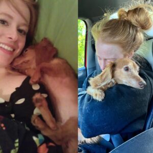 Natalie Renee Long Instagram - My first picture with Pupcake and my last.
.

Saturday was one of the hardest days of my life. I hoped and thought we would have more time, but we had to let our sweet Pupcake go. When her heart stopped, mine shattered. She was my best friend, my shadow, my little mini me. Everywhere I went, she followed. Todd said it was like there was an invisible leash attached to us. She loved me when I felt unlovable and wanted to be with me when no one else did. There is a hole in my heart and an empty space beside me without her. It’s a relief that her suffering is over and I’m honored to have been there in her last moments, holding her and telling her I love her. I will love her forever.
.
#iwillalwaysloveyou #rainbowbridge #mybestfuriend #ilovemydachshund