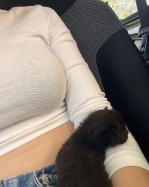 Natasa Exintaveloni Instagram - Αυτός είναι ο Αντώνης. 
Τον βρήκαμε με την Εύη και τον Κωστή στον κήπο του γυρίσματος ανάμεσα στα αδέλφια του, που δεν κατάφεραν να επιβιώσουν. 
Ο Αντώνης εμφανίστηκε μπροστά μου ΤΗ ΧΕΙΡΟΤΕΡΗ ΣΤΙΓΜΗ που θα μπορούσε- καμπή ψυχική, δουλειά όλη μέρα στο γύρισμα, βράδυ παράσταση, αλλεργία στις γάτες και δε θα απέκλεια και κάποια αλλεργία στα μωρά εν γένει. Αλήθεια το τελευταίο πράγμα που μου χρειαζόταν ήταν να βάζω ξυπνητήρι μέσα στη νύχτα για να ταΐζω ένα ανήμπορο πλάσμα και να είμαστε αχώριστοι σε δουλειές, βόλτες, ψυχοθεραπείες, αμάξια, καναπέδες, καμαρίνια.
Όμως: Ο Αντώνης εμφανίστηκε μπροστά μου την ΚΑΛΥΤΕΡΗ ΣΤΙΓΜΗ που θα μπορούσε. Για να μου θυμίσει ότι στη ζωή, στην αγάπη και στην αλήθεια δε γίνεται να έχεις τον έλεγχο. Μάλλον γίνεται, αλλά δεν έχει πλάκα. 
Ο Αντώνης θα ζήσει αν με ρωτάτε (όποια και να είναι τα προγνωστικά) γιατί έχει επαληθεύσει τη ζωή ήδη 4-5 φορές και τον γνωρίζω μόνο δυο μέρες. 
Τον Αντώνη δεν ξέρω αν τον αγαπώ ή αν τον φοβάμαι. Νομίζω όμως ότι δεν υπάρχει πιο τρομακτικό πράγμα απο το να αγαπάς ήδη ένα πλάσμα που δεν έχεις προλάβει να καταλάβεις τι είναι ή τι μπορεί να γίνει για εσένα ή, ακόμη χειρότερα, τι μπορεί να προκαλέσει στην καρδιά σου. Αλλά δεν υπάρχει και τίποτα που να μπορεί να συγκριθεί με αυτόν τον έρωτα ή αυτή την αγάπη. 

Μόνο μια βουτιά χωρίς μάσκα στα νερά ενός αγνώστου νησιού; 
Ίσως με αυτό να μπορεί να συγκριθεί ναι.