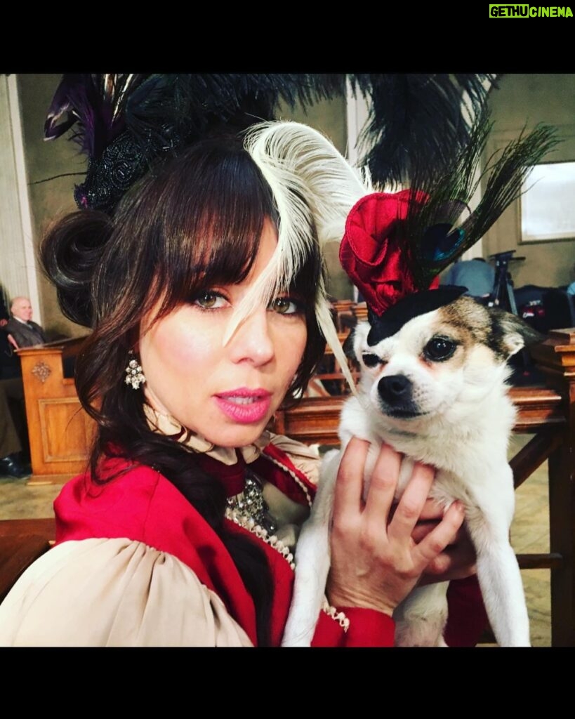 Natasha Leggero Instagram - Thank you to Chihuahua/actress mayor cutie for blessing us with her presence all these years. When we found you in an alley and took you to the groomers to see if we could clean you up and try to find you a home the groomer said “they find YOU honey”. I’m iso glad we kept you & I was able to be with you on your journey to stardom and thank you for always letting me put wigs and hats on you and for always knowing your lines. When I had a baby I used to pray that I would love it as much as I loved you. You are worth having to resurface my hard wood floors due to senior incontinence it was just so hard to put you down because you never lost your looks 💖