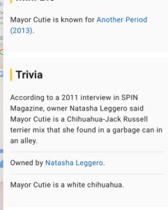 Natasha Leggero Instagram - Thank you to Chihuahua/actress mayor cutie for blessing us with her presence all these years. When we found you in an alley and took you to the groomers to see if we could clean you up and try to find you a home the groomer said “they find YOU honey”. I’m iso glad we kept you & I was able to be with you on your journey to stardom and thank you for always letting me put wigs and hats on you and for always knowing your lines. When I had a baby I used to pray that I would love it as much as I loved you. You are worth having to resurface my hard wood floors due to senior incontinence it was just so hard to put you down because you never lost your looks 💖