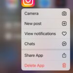 Natasha Leggero Instagram - text me