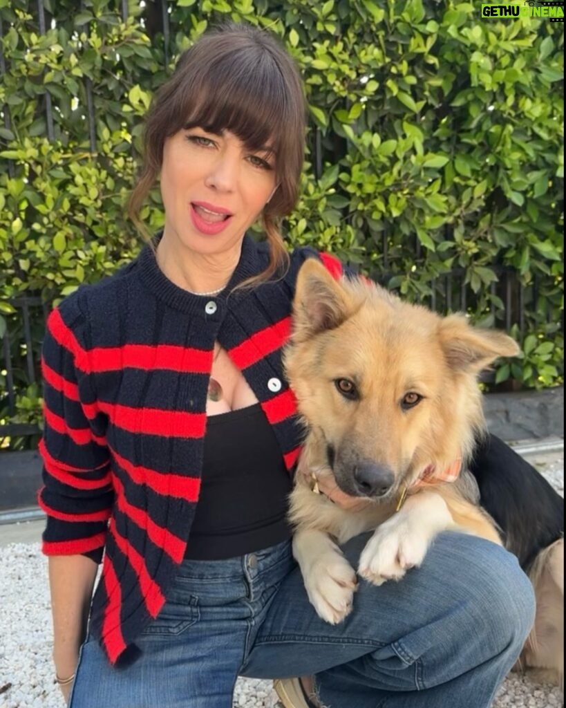 Natasha Leggero Instagram - Finally got a killer dog