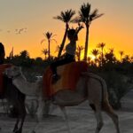 Nathalie Andreani Instagram - 🐪🐪🐪