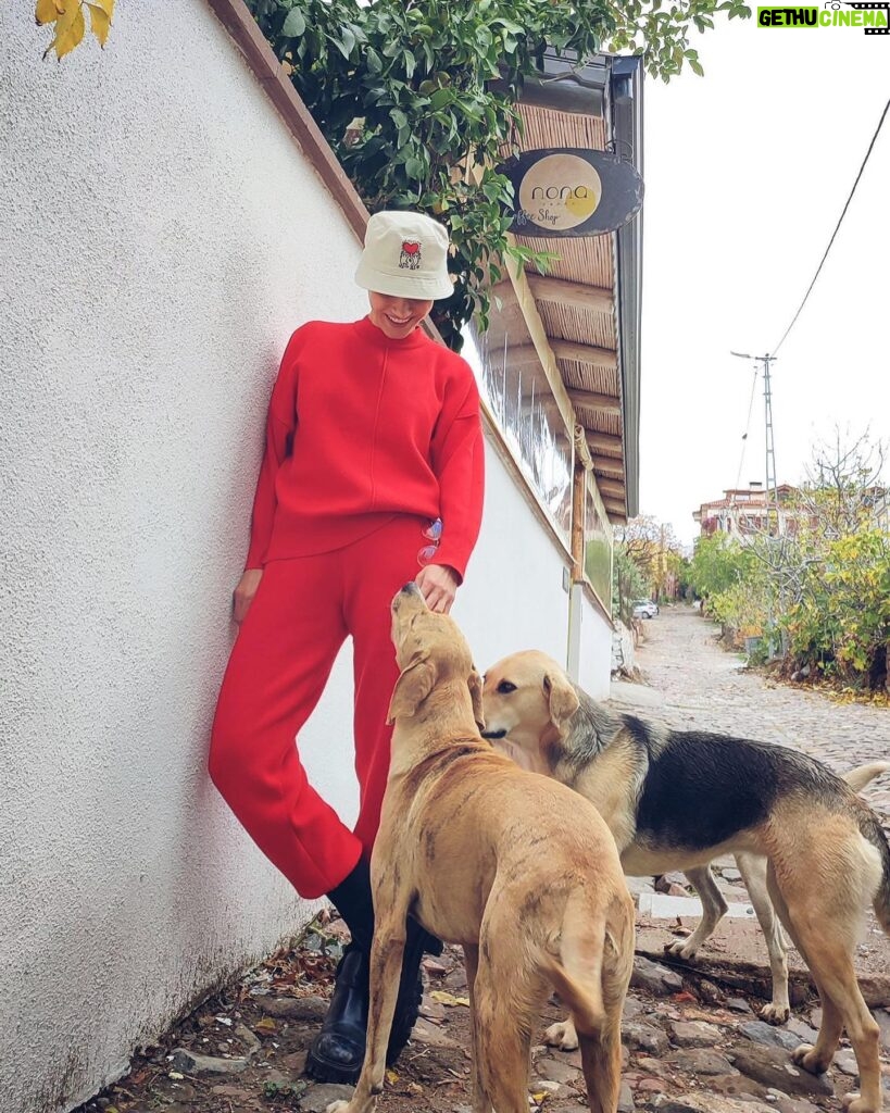 Nazlı Senem Ünal Instagram - Bir köpek size sevginin gerçek anlamını öğretecek.. @okanerkmen 📸