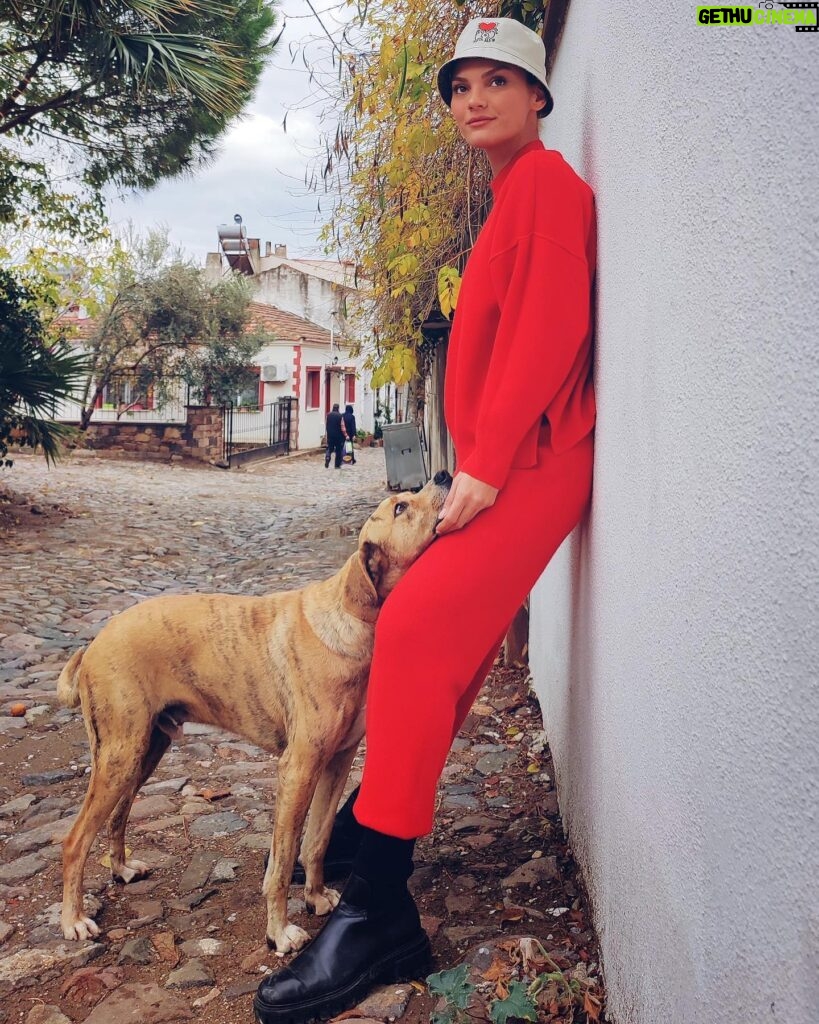 Nazlı Senem Ünal Instagram - Bir köpek size sevginin gerçek anlamını öğretecek.. @okanerkmen 📸