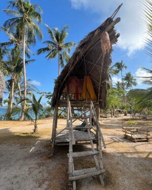 Neroli Meadows Instagram - Palm trees, beachside huts, freshly caught seafood and pure sunshine - what else could a girl want?!