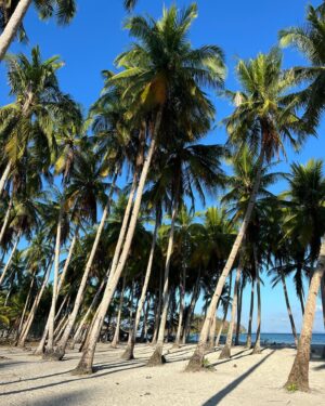 Neroli Meadows Instagram - Palm trees, beachside huts, freshly caught seafood and pure sunshine - what else could a girl want?!
