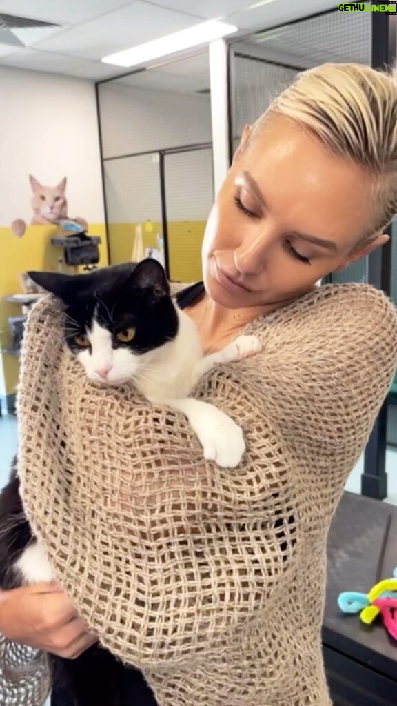 Nicky Whelan Instagram - On my visit back home to Australia I popped into this amazing shelter in Keysborough - Victoria ! The @ausanimalprotectionsociety has been going for over 50 years. Like most shelters around the world they are at capacity. These beautiful babies need homes and if you are not able to adopt an animal right now, any kind of donation from blankets collars leads and food are always greatly needed. The team here are incredible and they work around the clock ! These animals are so well loved and taken care of but they do need homes. Please keep them in mind. Let’s shed more light in these areas. The animals NEED us #rescueshelter #animals #2024goals ❤️🥹🙏🏼
