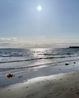 Nicola Sturgeon Instagram - A lovely Sunday evening walk along Troon beach to Prestwick. The fish supper afterwards from the Wee Hurrie at Troon harbour may have neutralized the health benefits - but it was delicious. Thoroughly recommended.

#scotland #ayrshire #troon #prestwick #fishandchips #weehurrietroon #weehurrie