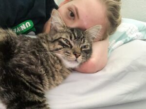 Nicole Alyse Nelson Instagram - Celebrating 2 years of life for my beautiful Zo-bear😻 For her birthday, she requests that you adopt an animal at the shelter and save a life today💛