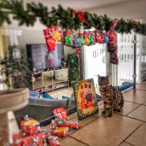 Nicole Mieth Instagram - Jingle Pelz, jingle Pelz, jingle all the way 🎶 Mein Baby  @sam_the_bengal & Ich wünschen euch einen wunderschönen 1. Advent 😻 Bekommen eure kleinen Vierbeiner auch etwas zur Weihnachtszeit ? #love #happy