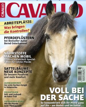 Nicole Mieth Instagram - Hallo meine Lieben! So stolz bin ich auf meine Stute „Navajo“ 😍 Sie ziert gerade das aktuelle @cavallo_magazin Cover 🐎🤗 Die Cavallo ist das größte Reit- und Pferdesportsportmagazin Deutschlands und Navajo hat sich das allemal verdient 🥰 Danke an meine langjährige Freundin und Trainerin @yvonnegutsche und an das gesamte Cavallo Team! 💜 #nicolemieth #navajo #cavallo #cavallomagazine #pferde #horse #kurgestütler  #buckskin #animallover #pony #doubledivideranch #schauspielerin #reiten #westernreiten #covershoot #oktober #happy #love #photooftheday #freizeitreiten #gelassenheitstraining #horseofinstagram #riders #instahorses #ponies