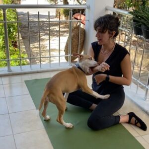 Nihal Yalçın Instagram - Bu gevur yogacılar köpeklerini nasıl eğitiyorlar acaba ya 👹 çocuğum olsa saçımı yolar. Biz nerede yanlış yapıyoruz acaba :)