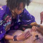 Nika King Instagram - March books are open. Please come with fur wash,conditioned and pre braided. I will charge extra fee if you bring your kids. $1000 deposit due before booking!! . #goldendoodle #dogsofinstagram #dog #rue #goldendoodle #dogoftheday #instadog #doglovers #doglife #pets #love #pet #puppiesofinstagram #dogsofinsta #cute #instagram #petsofinstagram #dogslife #animals #ilovemydogs #doglove #petstagram #dogbraids #cutedogs